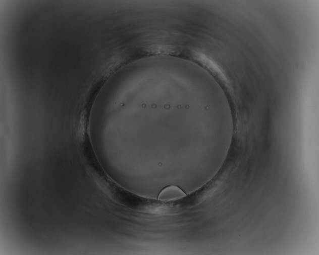 X0000088620065200705251250