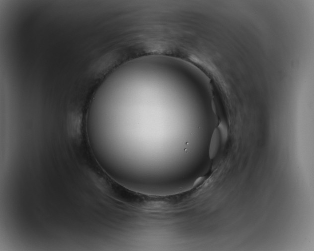 X0000088620066200705251250
