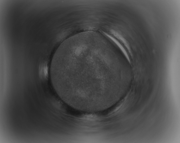 X0000088620067200705251250