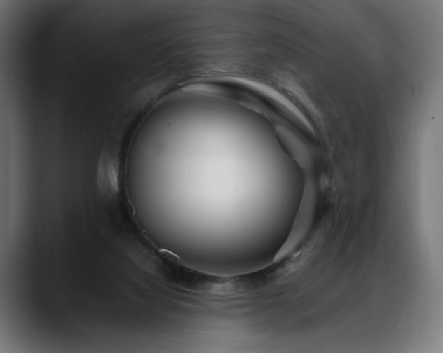 X0000088620068200705251250