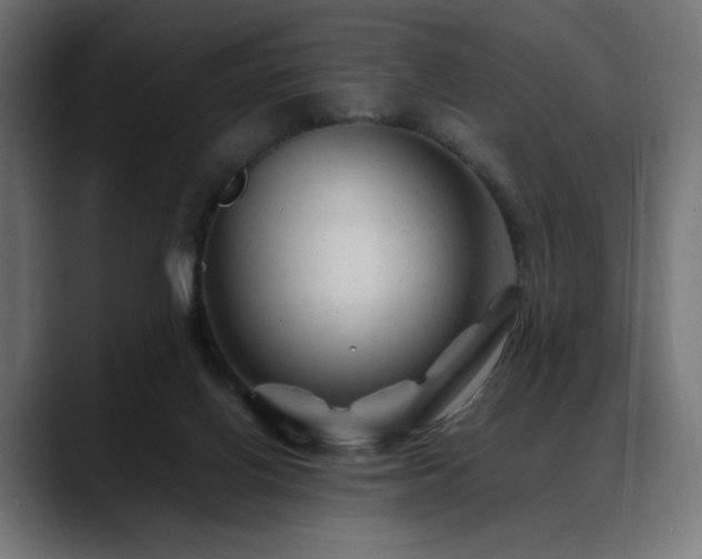 X0000088620070200705251250