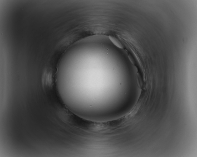 X0000088620074200705251250