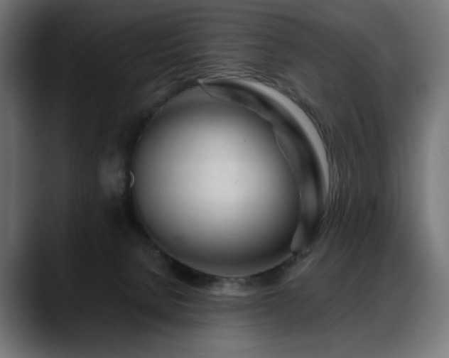 X0000088620080200705251250