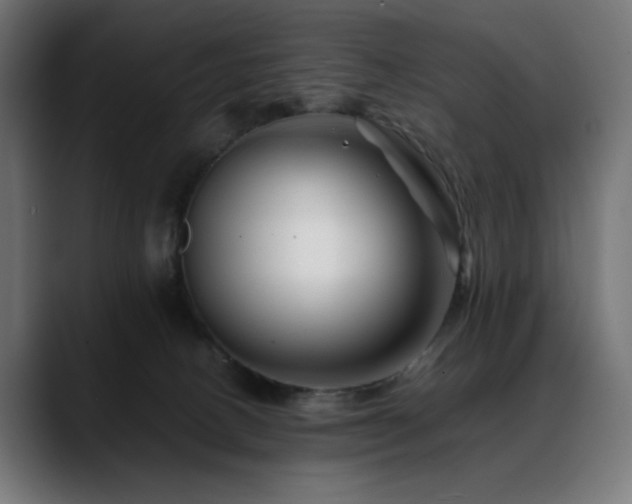 X0000088620082200705251250