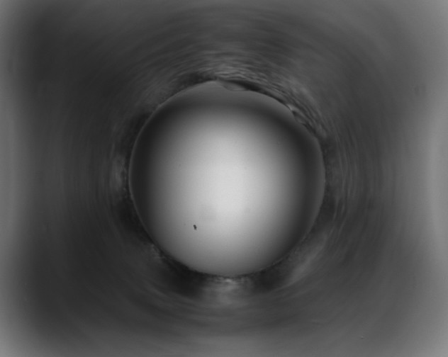 X0000088620083200705251250