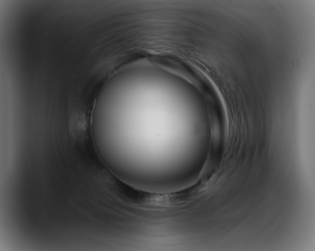 X0000088620084200705251250