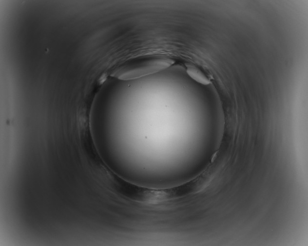 X0000088620085200705251250
