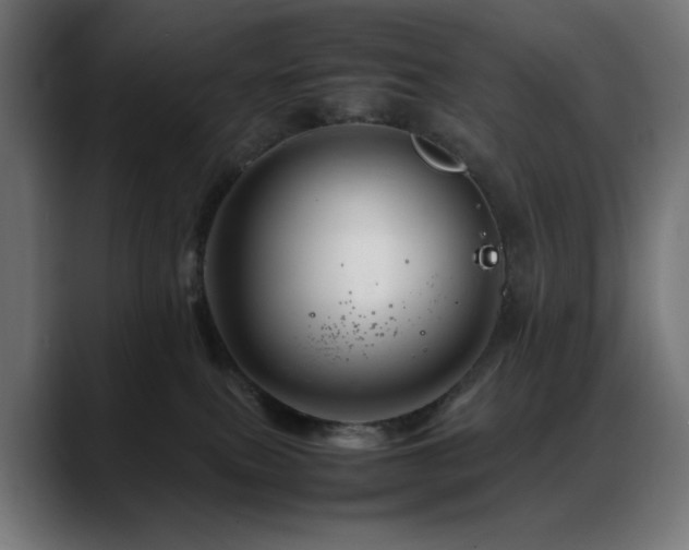 X0000088620087200705251250