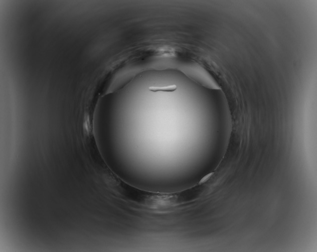 X0000088620089200705251250