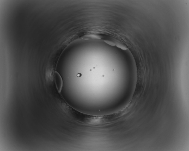 X0000088620090200705251250