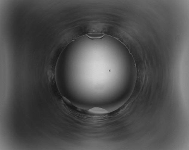 X0000088620091200705251250