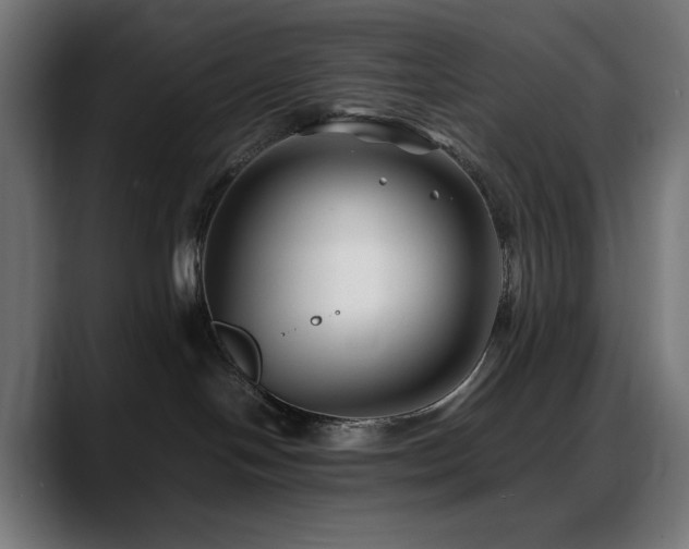 X0000088620094200705251250