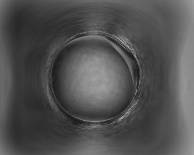 X0000088620097200705251249