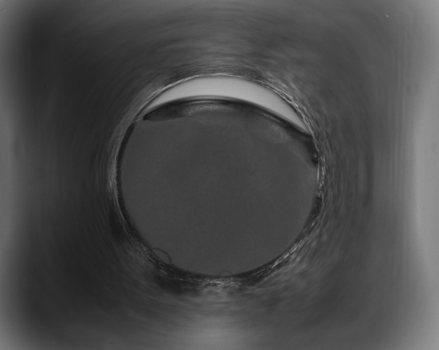 X0000088620099200705251249