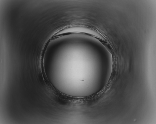 X0000088620100200705251249