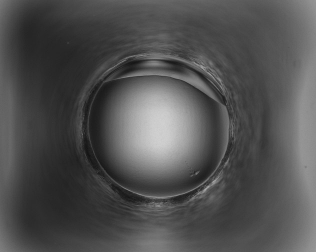 X0000088620101200705251249