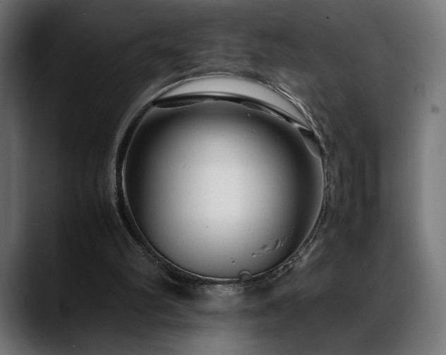 X0000088620102200705251249