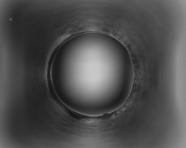 X0000088620104200705251249