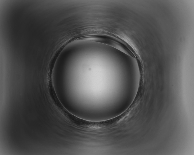 X0000088620105200705251249