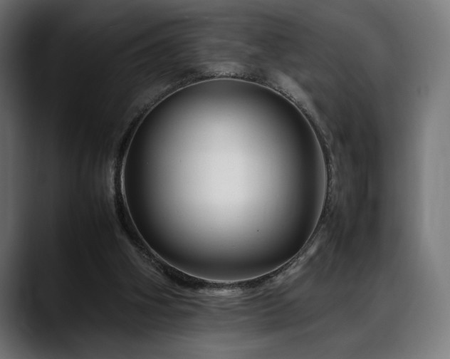 X0000088620106200705251249