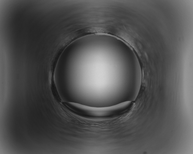 X0000088620109200705251249