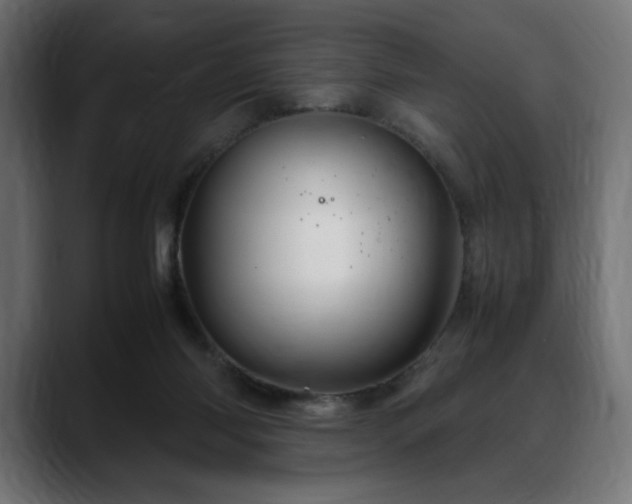 X0000088620118200705251249