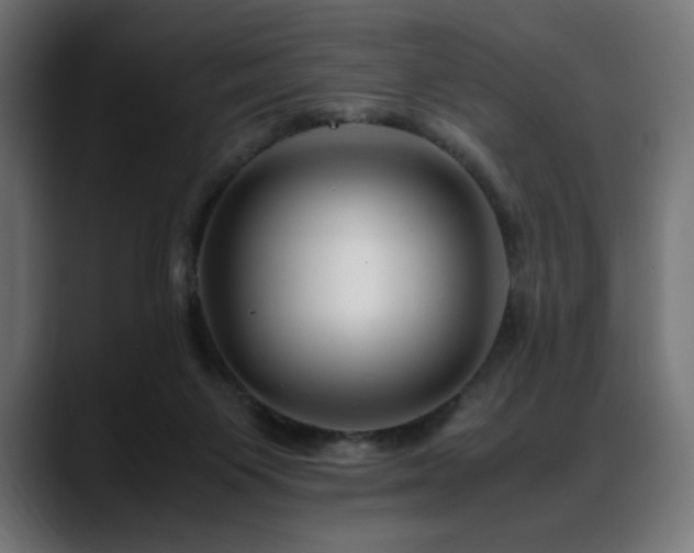X0000088620119200705251249