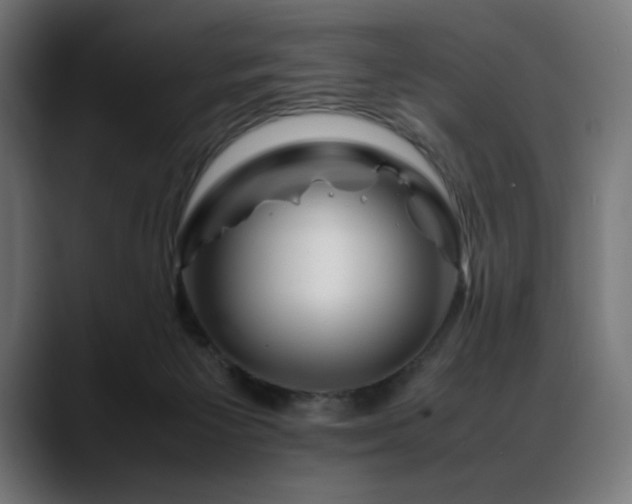 X0000088620125200705251249