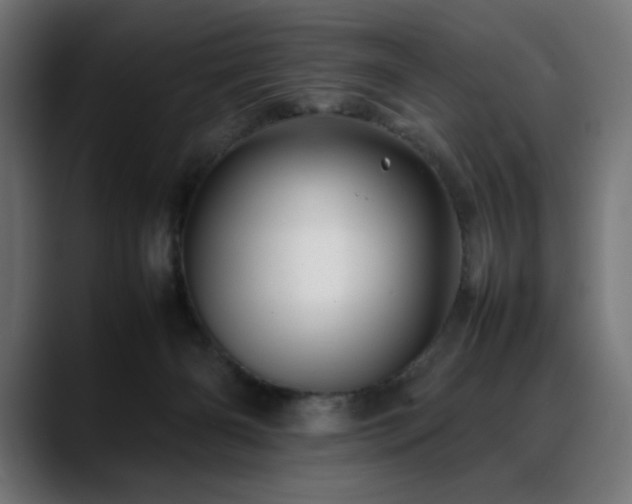 X0000088620126200705251249