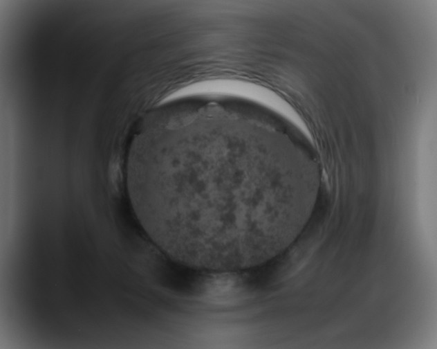 X0000088620127200705251249