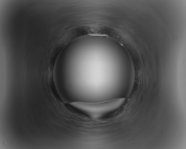 X0000088620129200705251249