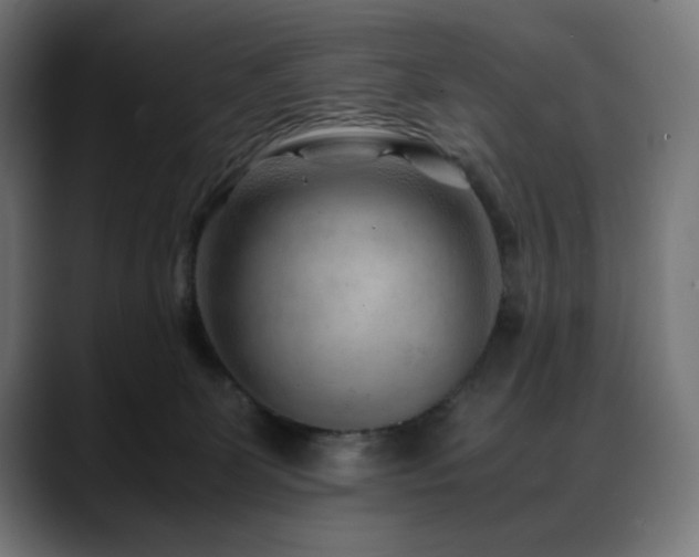 X0000088620131200705251249