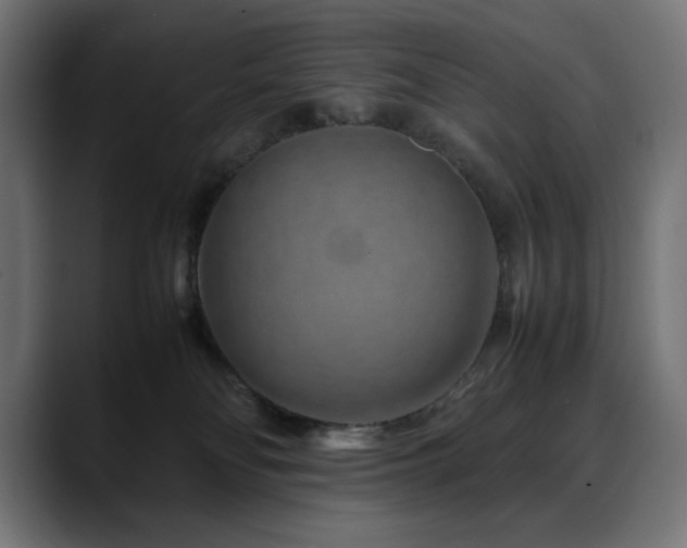 X0000088620134200705251249