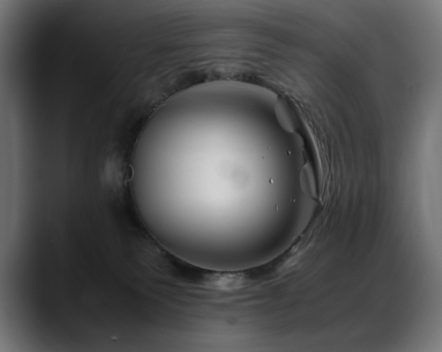 X0000088620135200705251249
