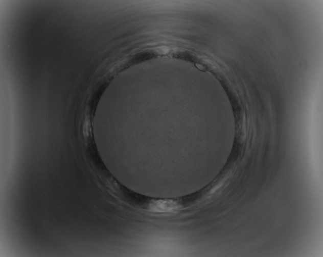 X0000088620137200705251249