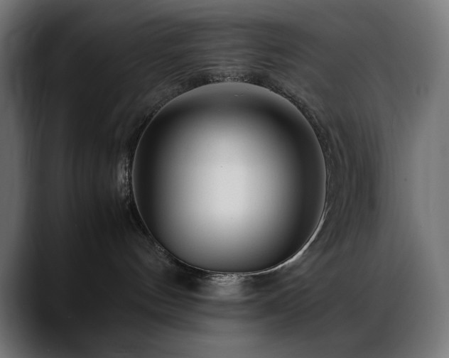 X0000088620144200705251249