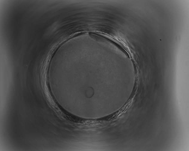 X0000088620145200705251248