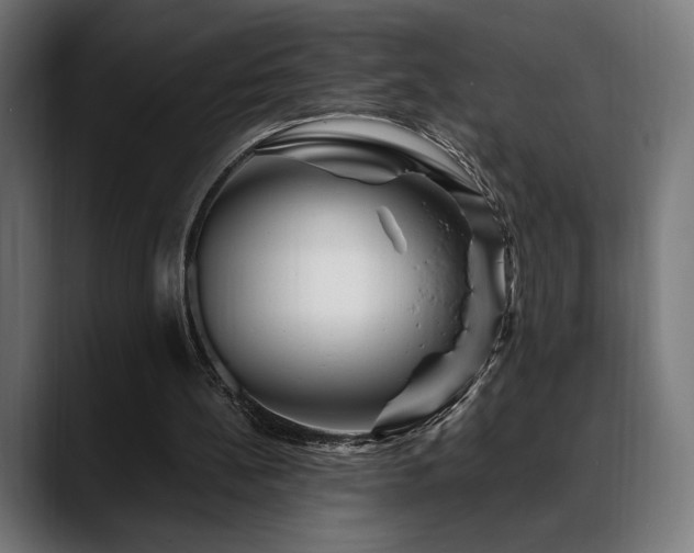 X0000088620148200705251248