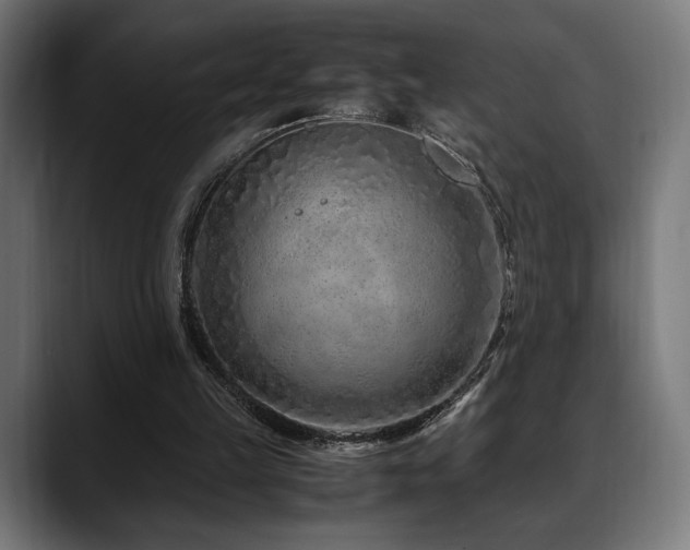 X0000088620149200705251248