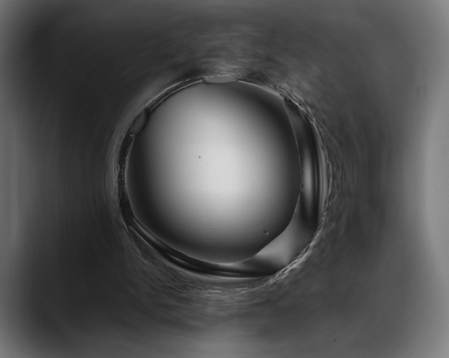 X0000088620150200705251248