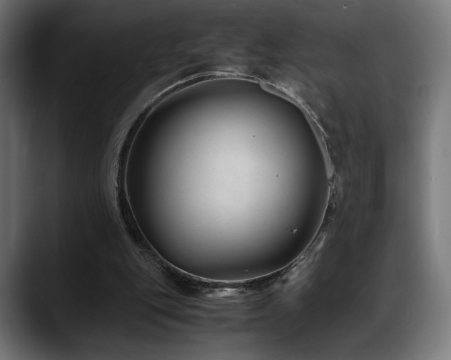 X0000088620151200705251248