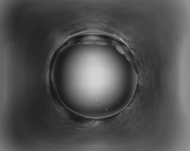 X0000088620152200705251248
