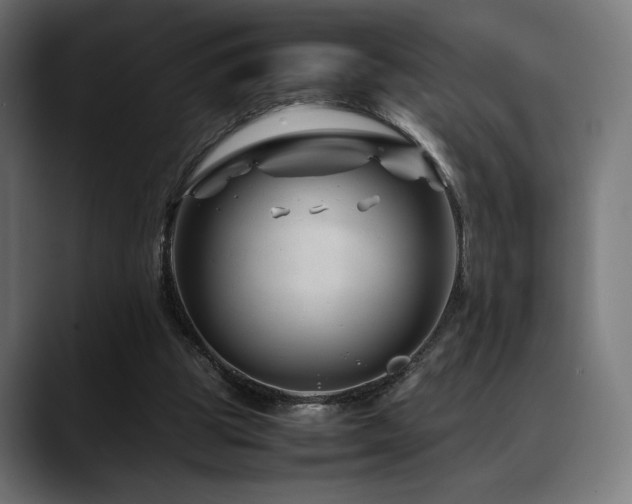 X0000088620153200705251248