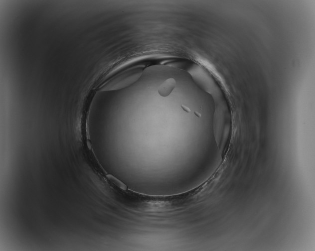X0000088620154200705251248