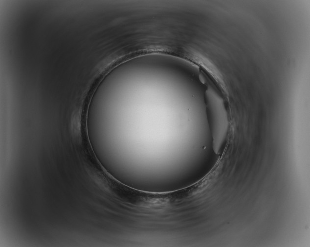 X0000088620155200705251248