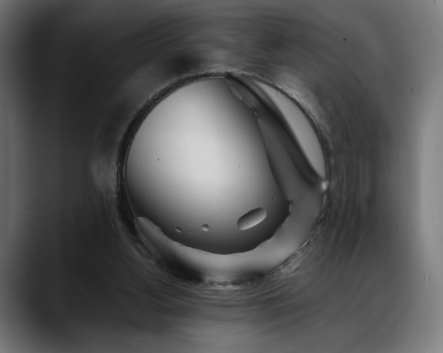 X0000088620156200705251248
