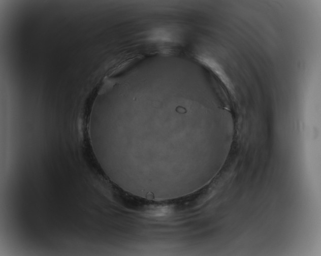 X0000088620161200705251248