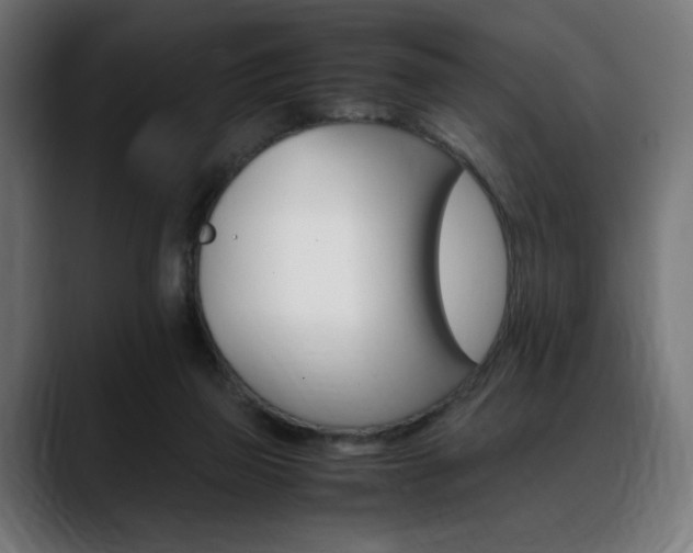 X0000088620165200705251248
