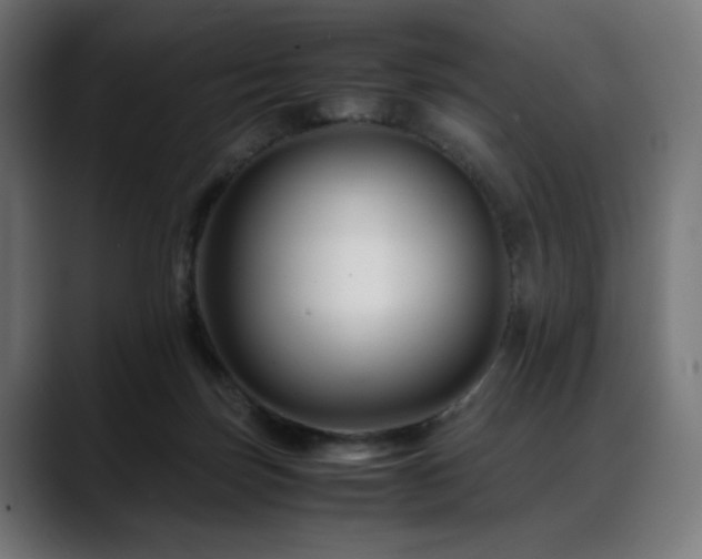 X0000088620171200705251249
