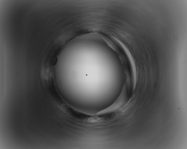 X0000088620172200705251249
